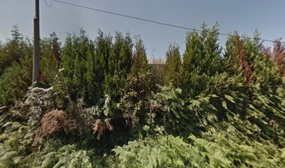 BRAJEUL Acier, Magasin de Matériaux de Construction à Val d'Oust