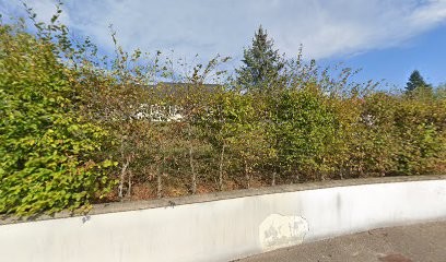 Moreno José, Magasin de Matériaux de Construction aux Bâties