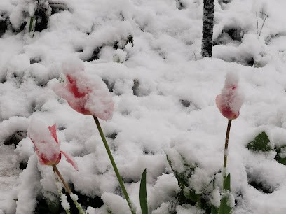 Rougier Panneaux, Magasin de Matériaux de Construction à Pontault-Combault