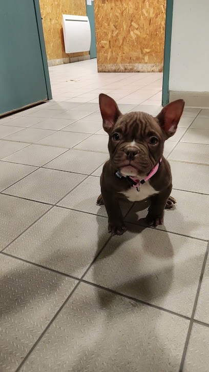 C.F.C.M.C Cie Française De Camionnage Et Matériaux De Construction, Magasin de Matériaux de Construction à Neuilly-sur-Marne