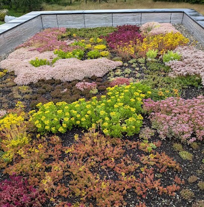 Toit Végétalisé, Magasin de Matériaux de Construction à Sermersheim