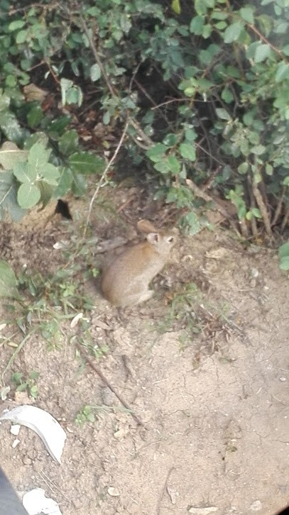 BUSCA Villiers-le-Bel, Magasin de Matériaux de Construction à Villiers-le-Bel