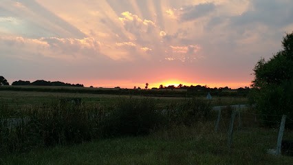 Les Macons Coopérateurs Reunis, Magasin de Matériaux de Construction à Mozé-sur-Louet