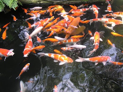 Oness, Magasin de Matériaux de Construction à Mulhouse