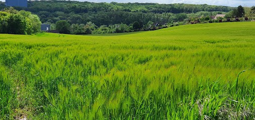 EQIOM Granulats, Magasin de Matériaux de Construction à La Grande-Paroisse