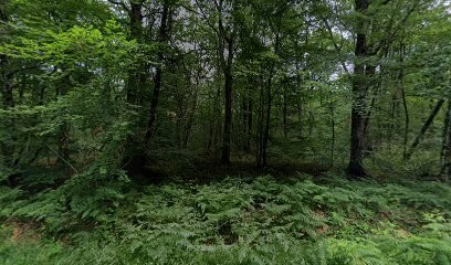 Matériaux Routiers du Berry, Magasin de Matériaux de Construction au Poinçonnet