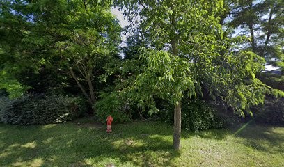 BUSCA Saint-Thibault-des-Vignes, Magasin de Matériaux de Construction à Saint-Thibault-des-Vignes