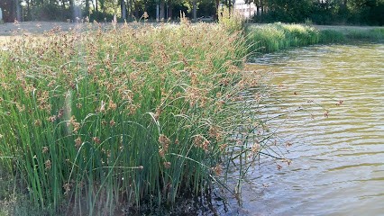 AquaTerra Solutions, Magasin de Matériaux de Construction au Pouzin