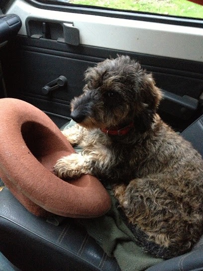 Négoce Ravalement Services, Magasin de Matériaux de Construction à Lagny-sur-Marne