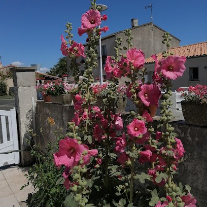 Asturienne Rochefort - Matériaux de couverture pour toitures, Magasin de Matériaux de Construction à Tonnay-Charente