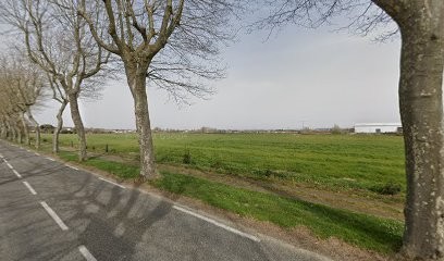 La Méridionale Des Bois Et Matériaux, Magasin de Matériaux de Construction à Saverdun