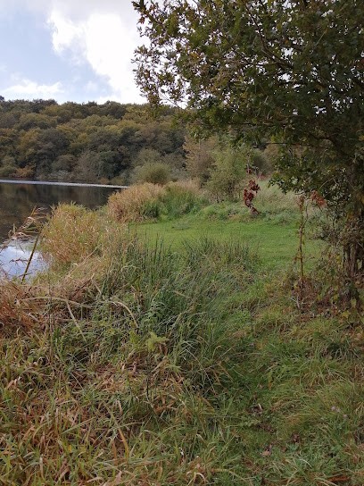 Point.P - Muzillac, Magasin de Matériaux de Construction à Muzillac
