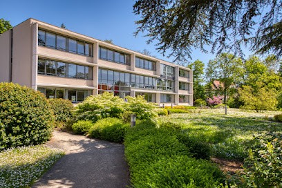 Rector Lesage, Magasin de Matériaux de Construction à Mulhouse