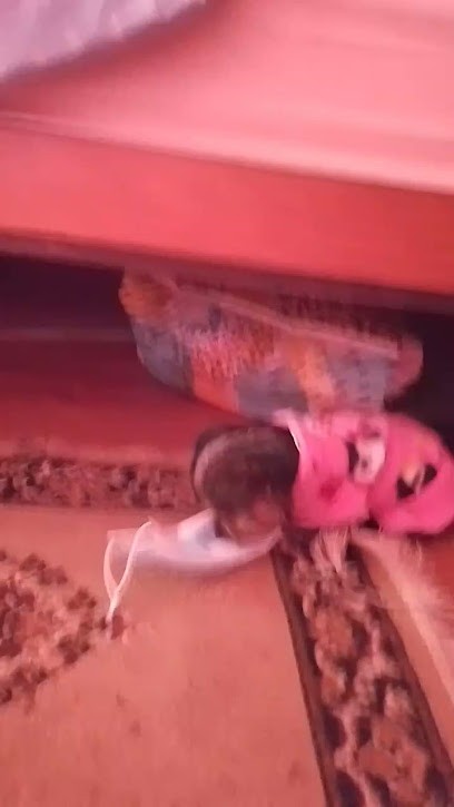 Snbm, Magasin de Matériaux de Construction à Vouneuil-sous-Biard