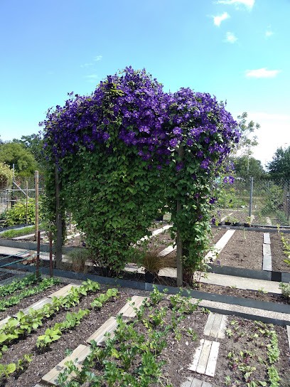 PUM, Magasin de Matériaux de Construction à Illkirch-Graffenstaden